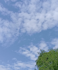 ���Ʈ�㣬��Ҷ��ŵ�����