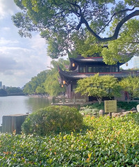 ��������Ӱ������飬87������δ��GG������������