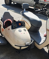 ���ֱ���ĵ�ƿ�����������ƺ���������