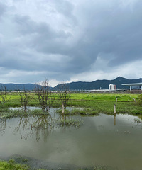 2023μǡ+꽷ƼСõĵط