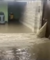 �Ͼ�ĳҵ�����ڵ����ң���ͨ�˺ӵ����ӵ����ݣ�ˮ��С������..