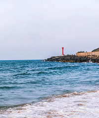 �㶫տ���ο��٣���ʳ�࣬����С�ǣ�