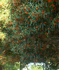 �������λ�����£�����