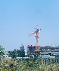 ��˭֪����������ʲô��