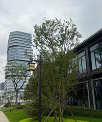 ̨����һ��Ʒ�ʳ�������Ҫ����