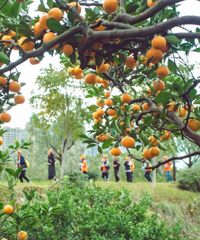 ̨����10�����ز���ʡ����֤�ˣ��������۽ۡ��������ϵ�