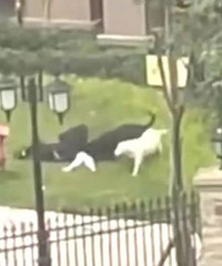 ��������ĳ����ȡ����ǿ�ƴ�ʩ����������ͨ��