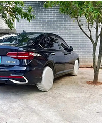 �����������ѳ���̥����������λ������˵˵��������Ŀ����ɶ