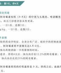 �������ѣ��������ѣ������ҳԡ���