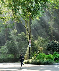 ̨�硰���͡�������ǿ�������������Ϯ���㽭���������ֱ���