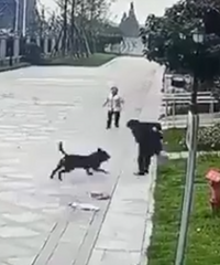 Υ����Ȯ��̨�����ж��˱���������Щ��ΪҪ���������Σ�