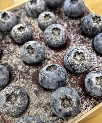 �������ʲô����ݮ��������