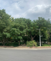 ʯ亹�԰û���ˣ�һ���˶�û�У�