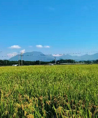 ������գ�����̨�ݿ�������ģʽ����