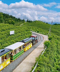 ȫʡʮ��¶Ӫ�أ�����������ѡ��