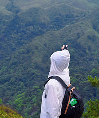 ����96���Ҷ�������ծ�����������û�����ɽ�˶�