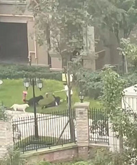 �˻�ȫ���ƿ����ҧ��Ůͯĸ�׷���