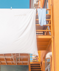 ���˽����й��ġ�����塱�����˳���ΪС��ʥ�����ᡱ