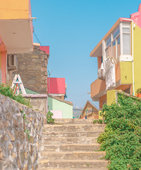 ���˽����й��ġ�����塱�����˳���ΪС��ʥ�����ᡱ