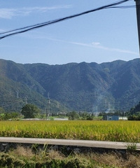 �����ܷ�����