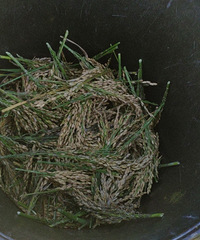 �����ܷ�����