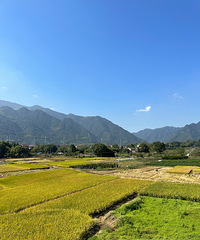 �ٺ�һ��ʯ̹����һ����