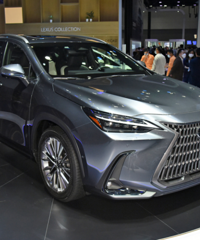 ���ո��ɶ��������ٻذ�����������