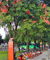 ��Ҹ��������ٺ�������������һ��...