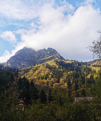 ���ϰ�����֮������ɫ�ٶ칵