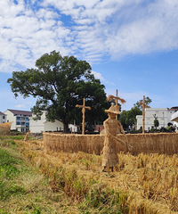 �����ˬ��һ����������ź�ɡ���������һ��