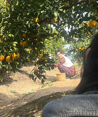 �Ӻ�����̨��ժ����