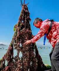 ȫʡ�׸�������̨�ݣ�