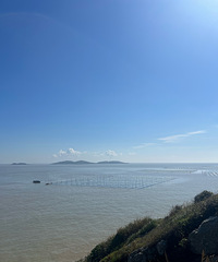 ��2023�μǡ�����С�����δ򿨵�