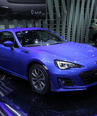 15470����˹��³�����ٻ�