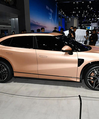 �ܳɱ�����ǵ���LԤ��22��Ԫ��