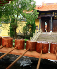 [����]�ٺ�4����£��˲��๻����