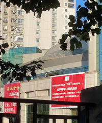 ��԰ɽׯͣҵ�ˣ�Ҫ����Ļ�С���ľƵꣿ