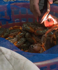 ��������з��������ֵ48��Ԫ��