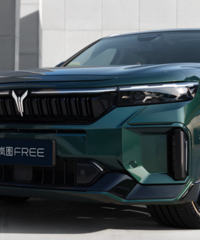 ���ʳ�¯��������������