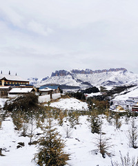 ���ϰ�����֮������ľ������������̨