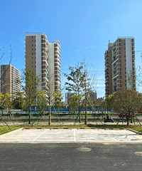 ��������·���仯̫��