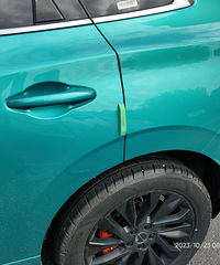 ���������ġ���ɫ������ɫ