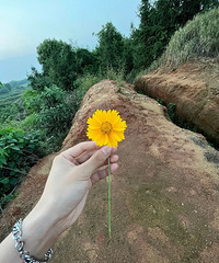 ����Ҫ�ѵ����У�28��/����/177cm