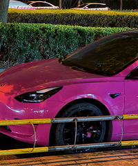 ���������ġ�ö��ɫ��˹����ϲ������