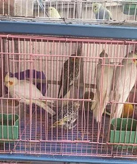 ���죡ͻȻ���ˣ�̨�ݲ��������˰��������¡���