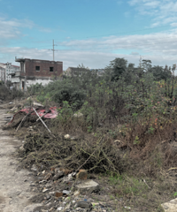 �߽ǵر������ĵ���԰��������Щ�ط��㷢����û��