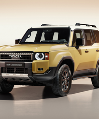 [����]�������������±���:����45-55��Ԫ