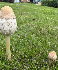 84�꽷��GG�������һ���ޣ�����һ������������Ů��