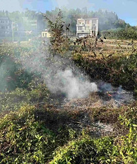 ��̨���˱����ֻ���������£�