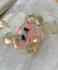 ��ѩ�Ĳ�ȵ���Ӭ Ͷ�߶����� ʳƷ��ȫ ������Ȩ��˭������